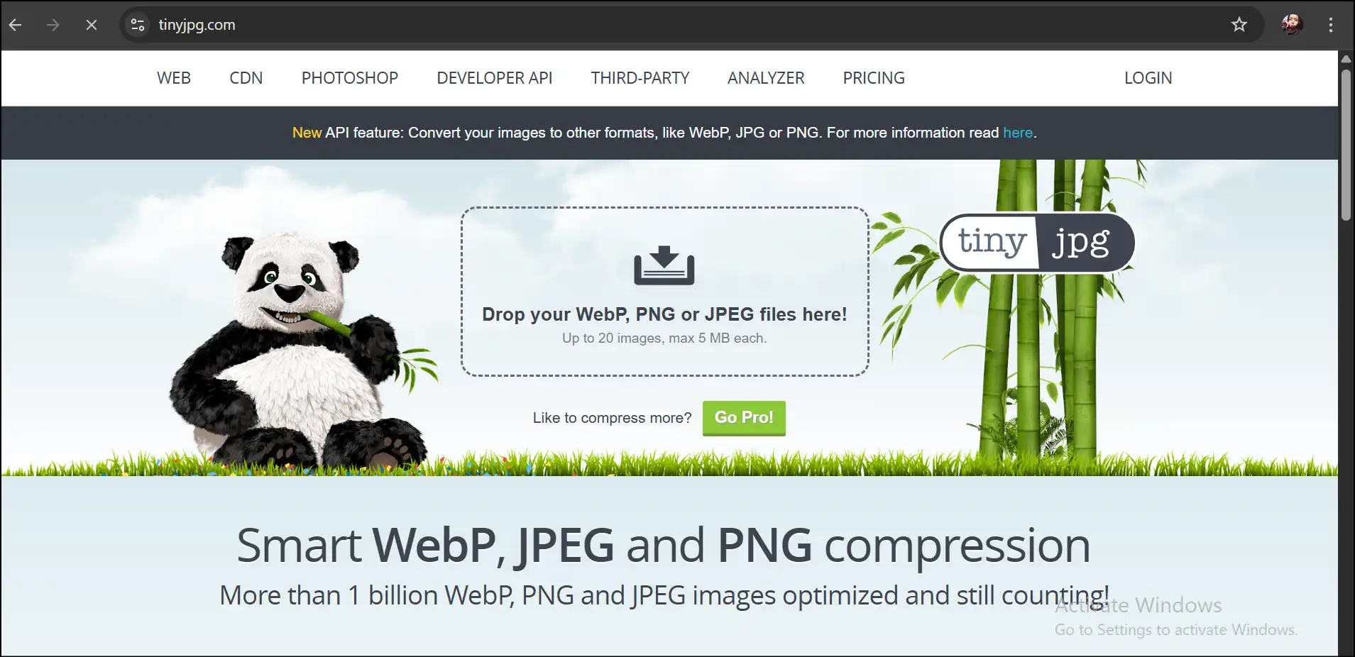 TinyJPG interface