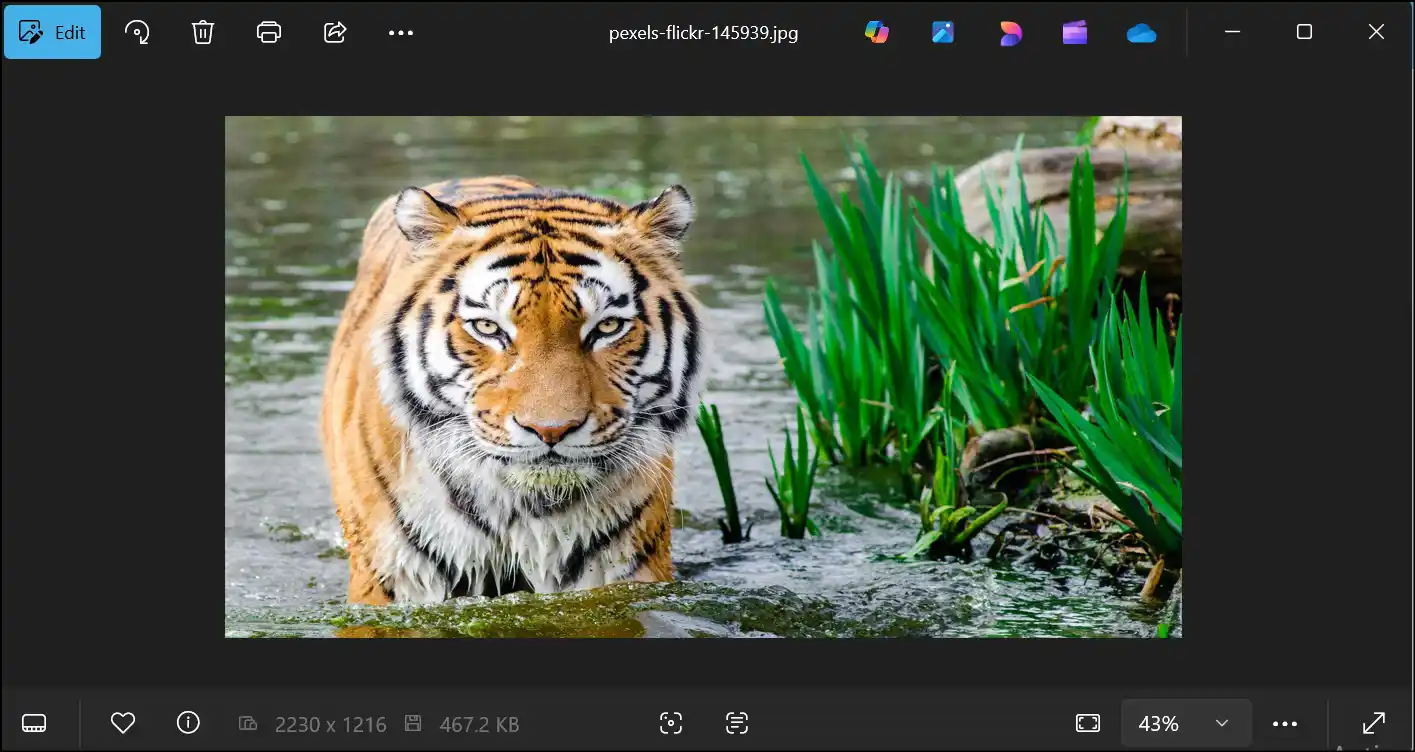 Preview the lossless resized photo