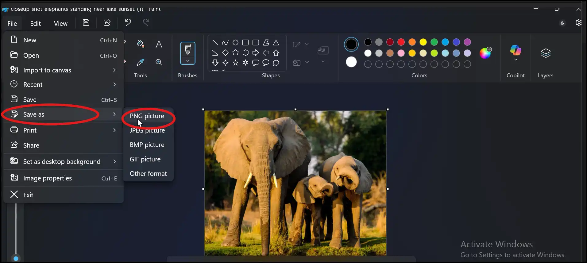 Crop and save image file in Jpeg file format to compress the file size with paint