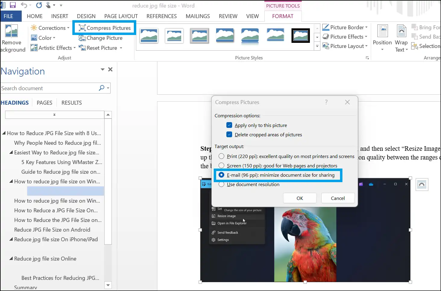 Tap on Compress Pictures and select E-mail to reduce file size