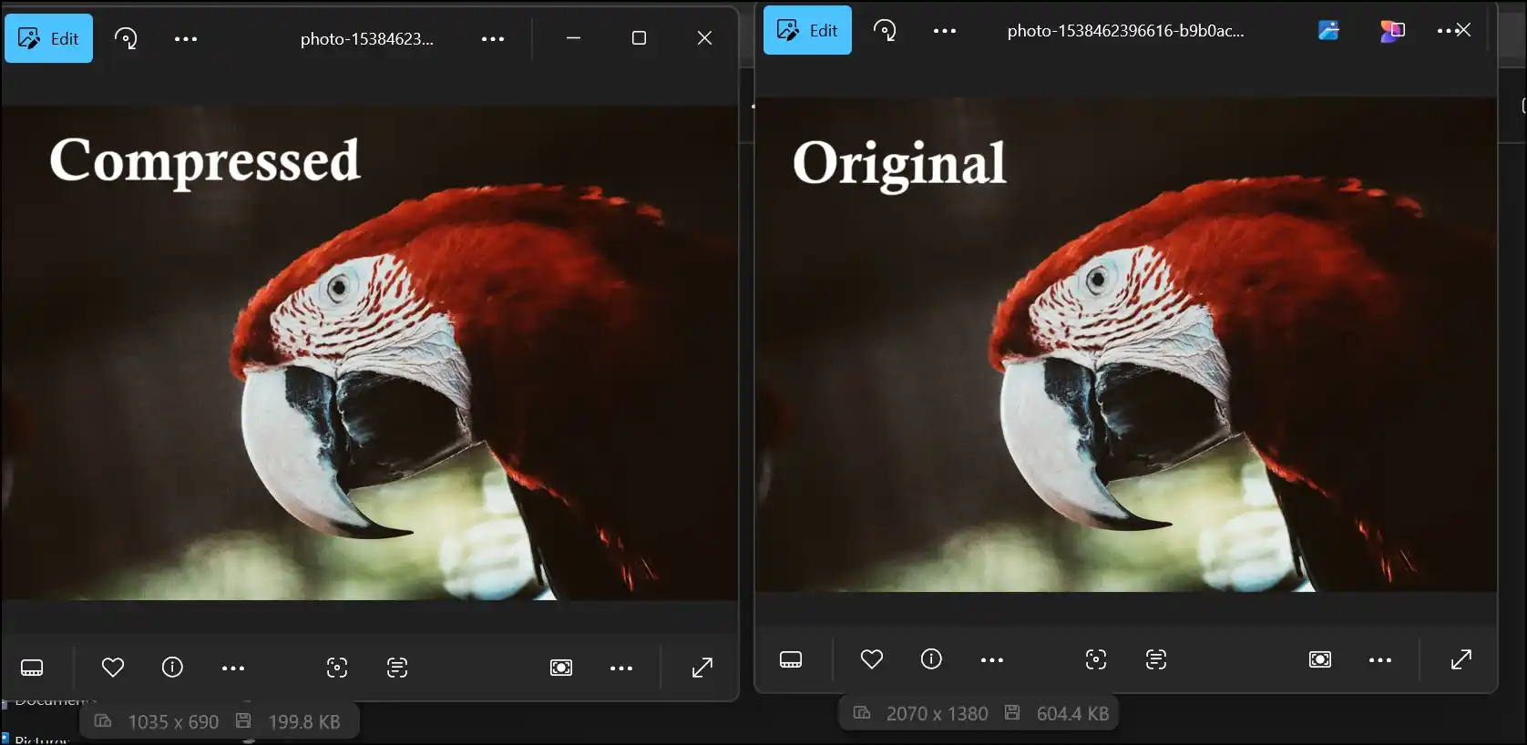 Compare the original JPG file and compressed JPEG file manually