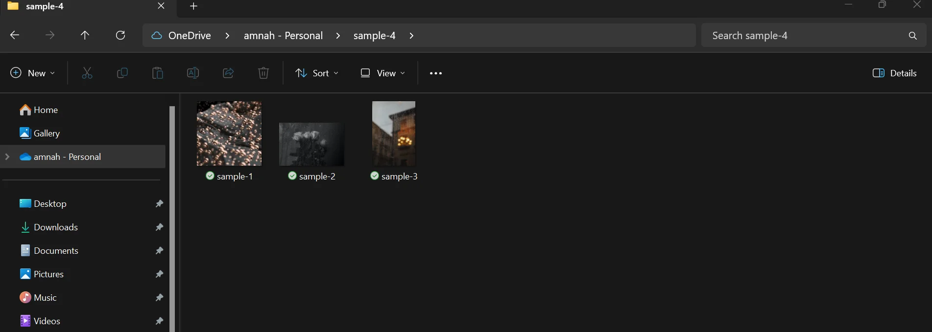 View and access the content of extracted zip file