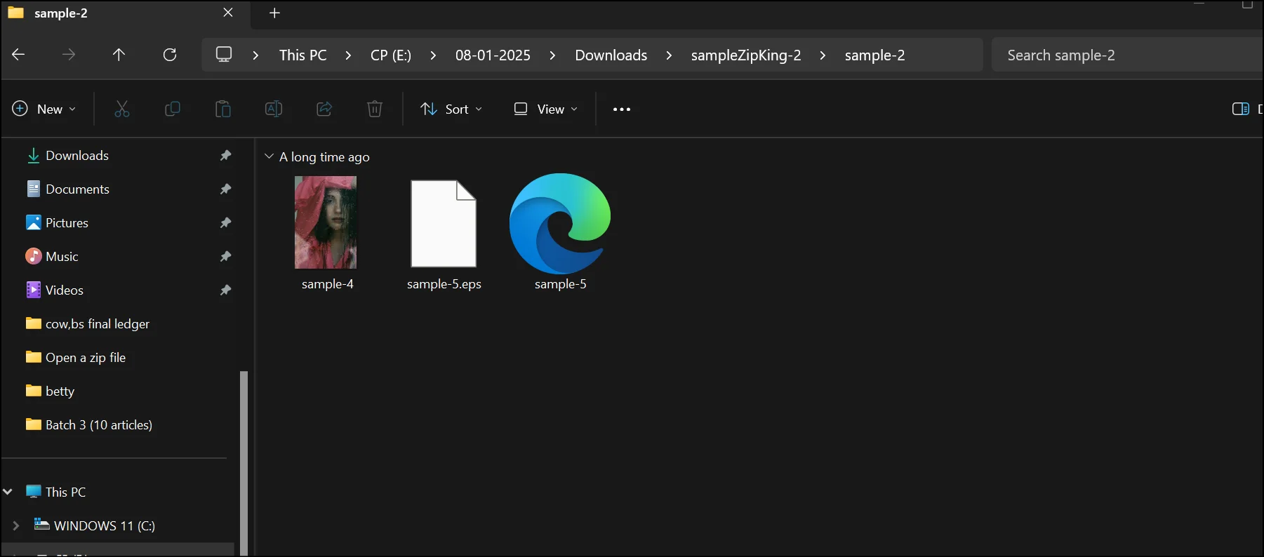 Preview the content of .zip file