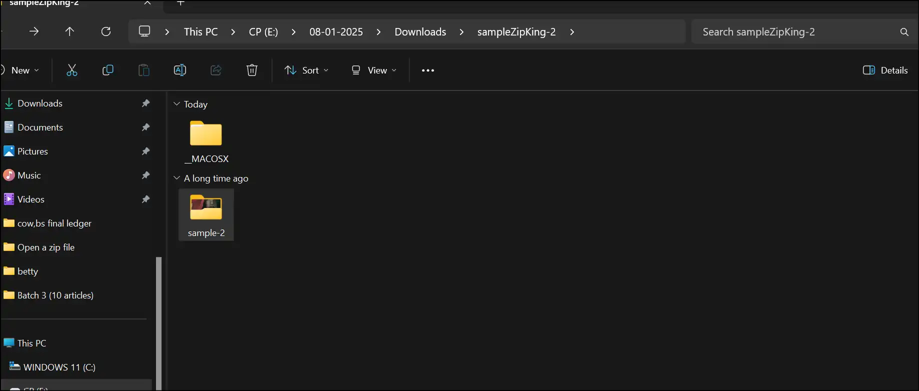 Find the new folder with extracted zip file content to the chosen destination