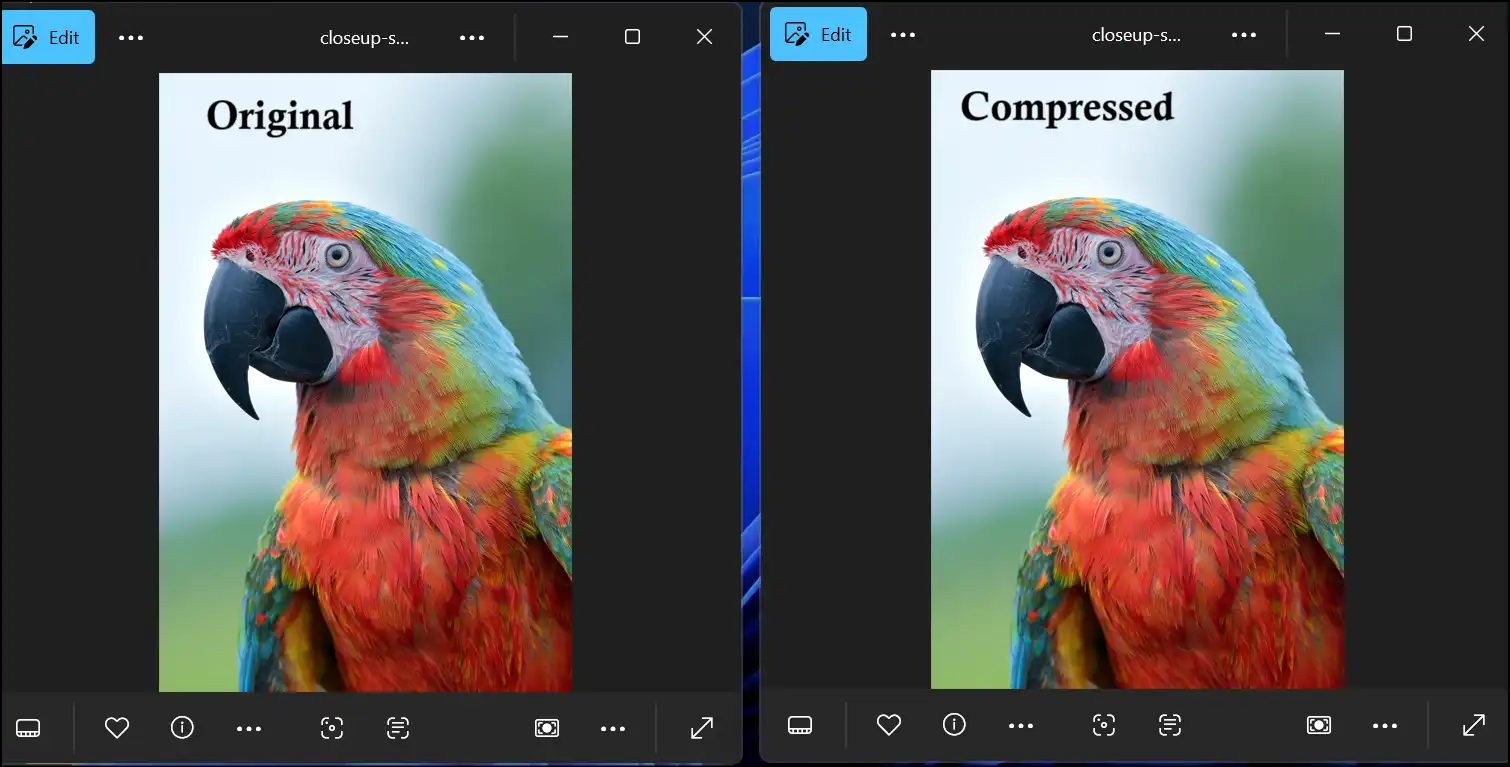 Compare an original and compressed JPEG files