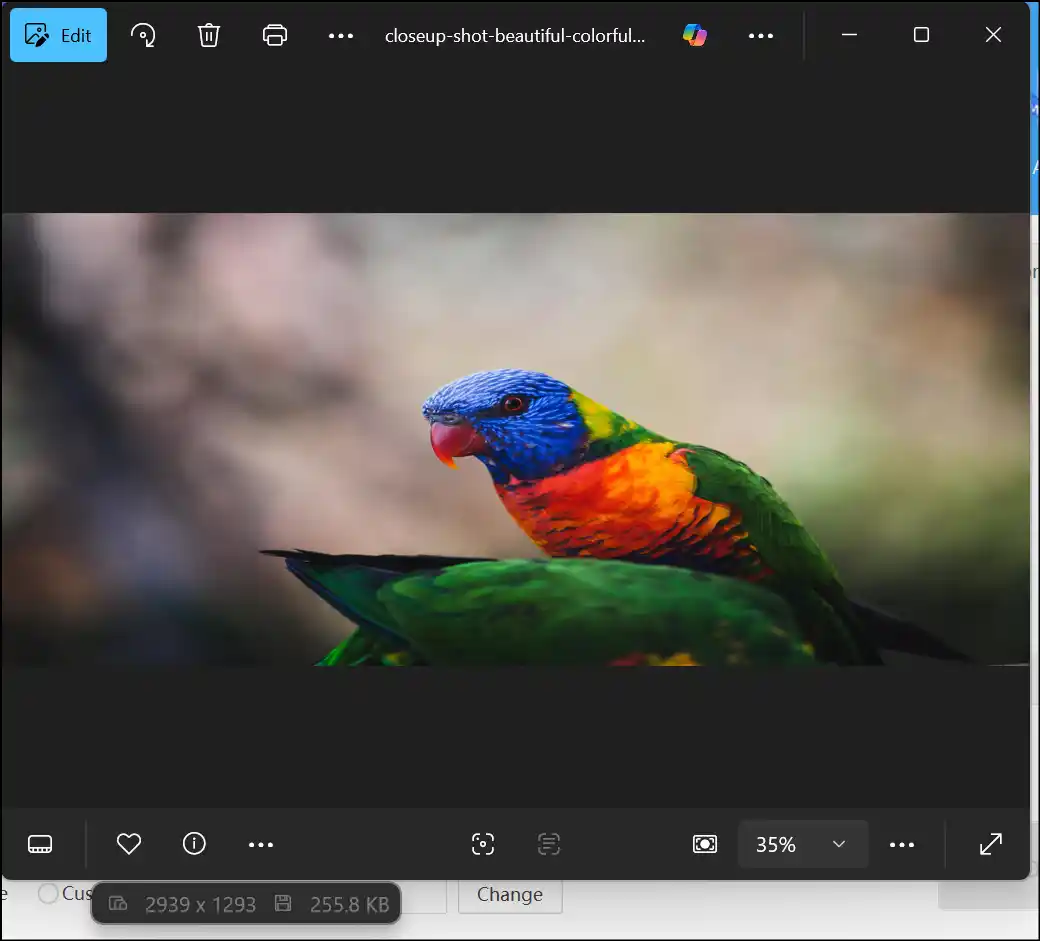 Compare the lossless compression result using Zipking with original JPEG image file