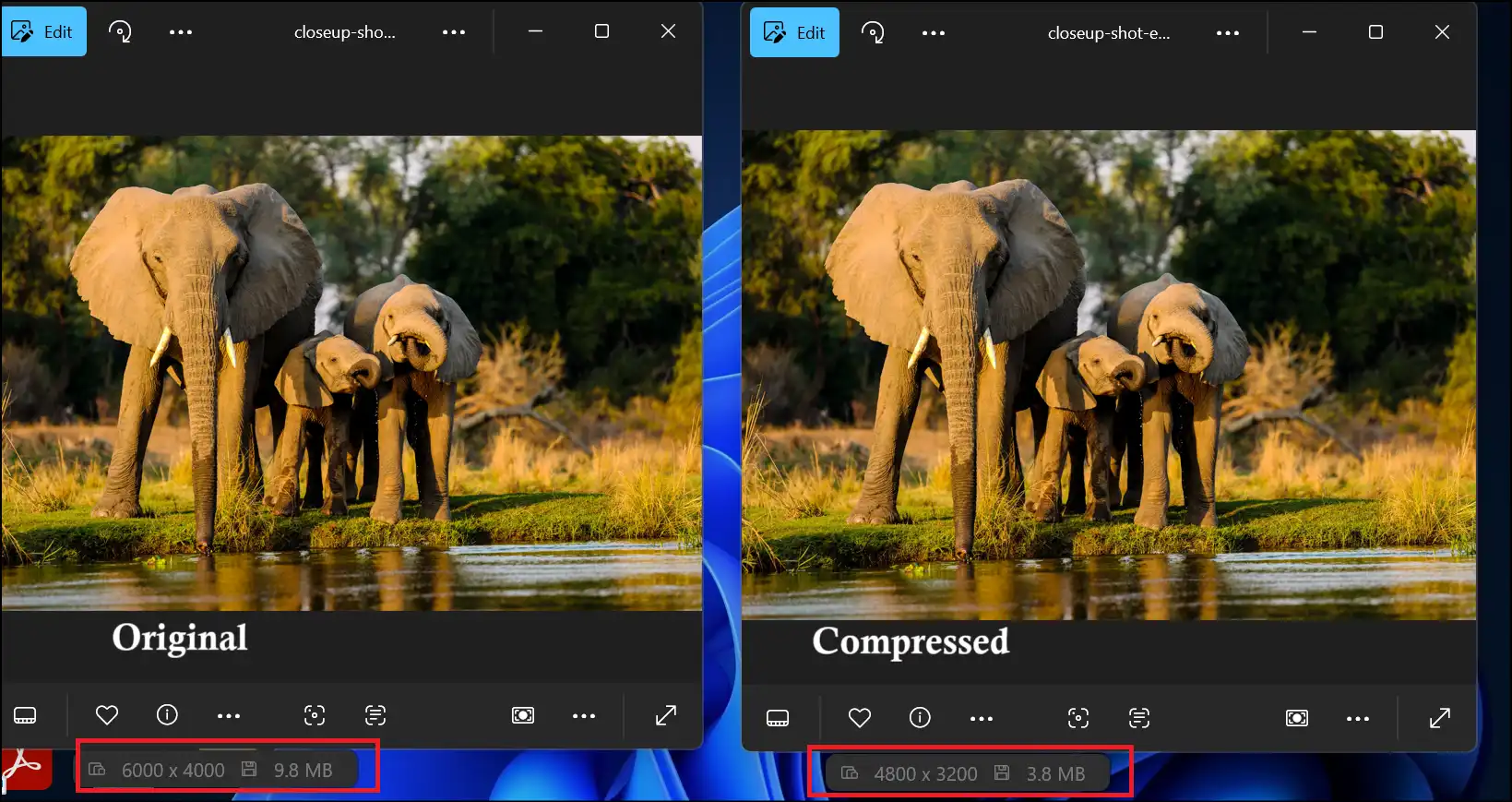 Compare the original and the compressed JPEG Image files