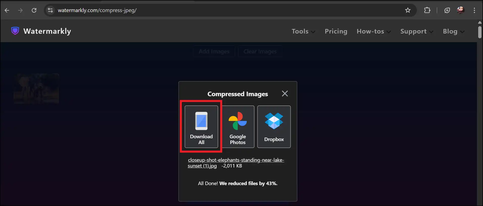 Download the compressed JPG file