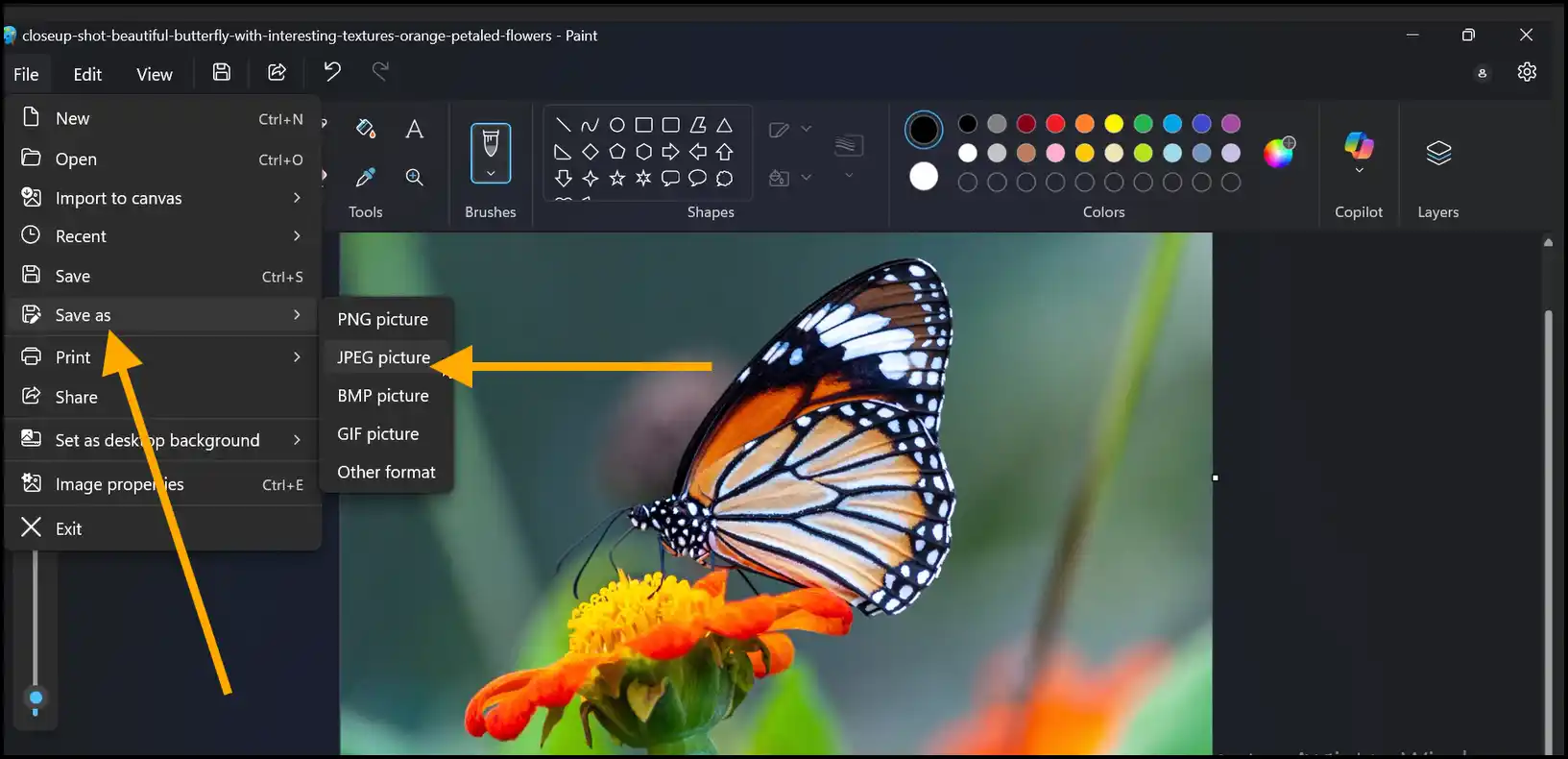 Save resized JPEG with reduce image pixels