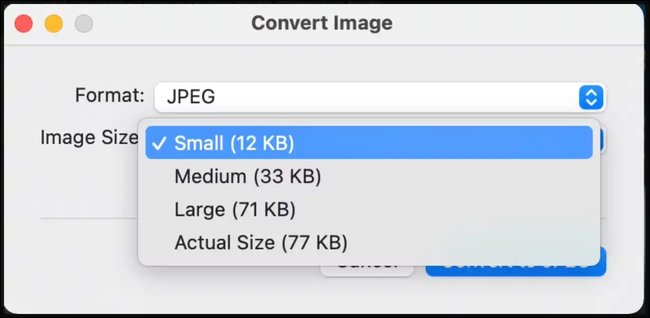 Select file format and compression quality on Mac Convert Image