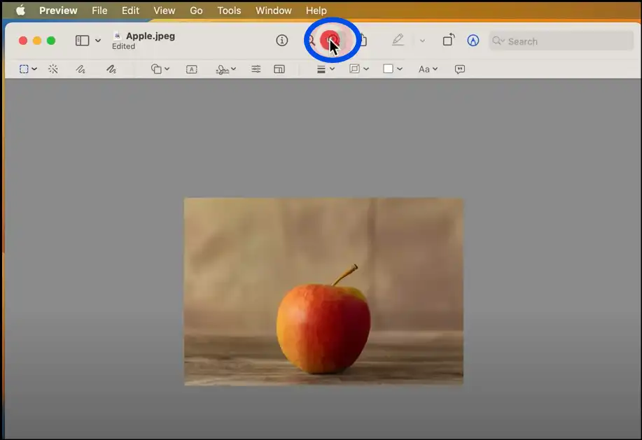 Access the resized photo using Mac Preview app