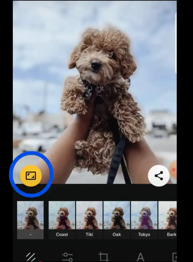 Upload photo and tap on Yellow icon to resize photos for instagram with Android app