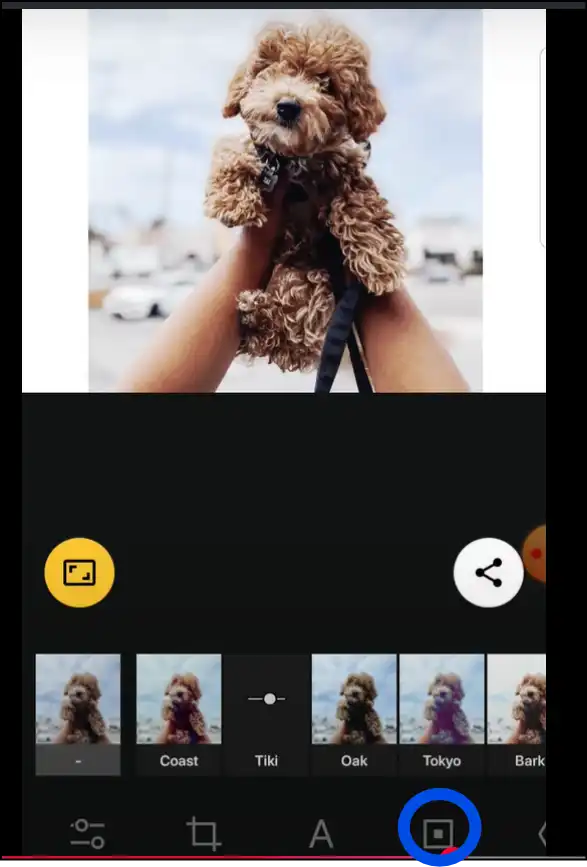 Tap on squared icon to select background for your Insta post sized photo using Android app InstaSize