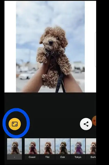 Tap again on Yellow icon to get Insta post sized photo using Android app InstaSize