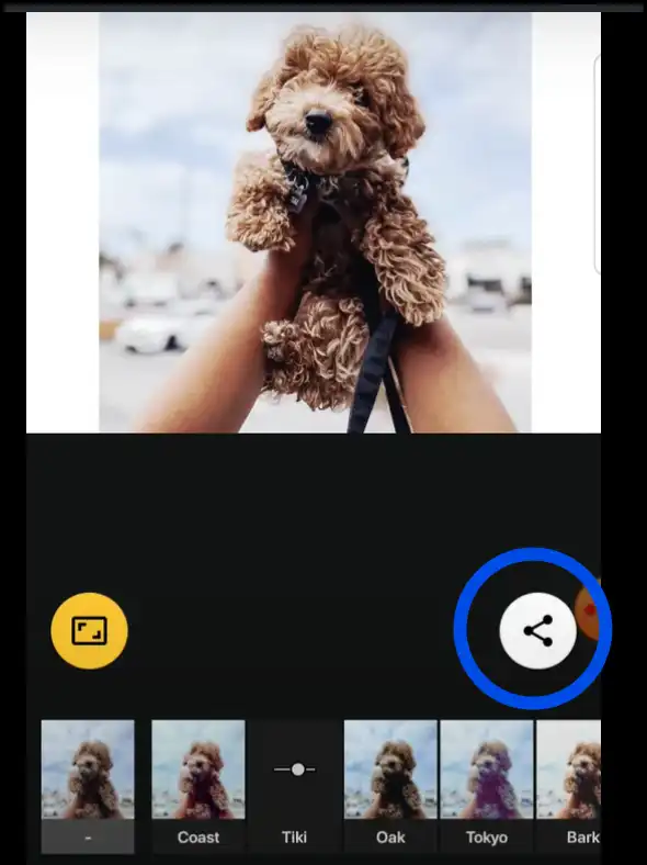 Save or share the resized Instagram photo on Android device