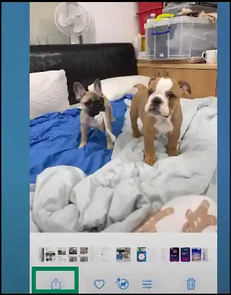 tap on share icon and select save to files